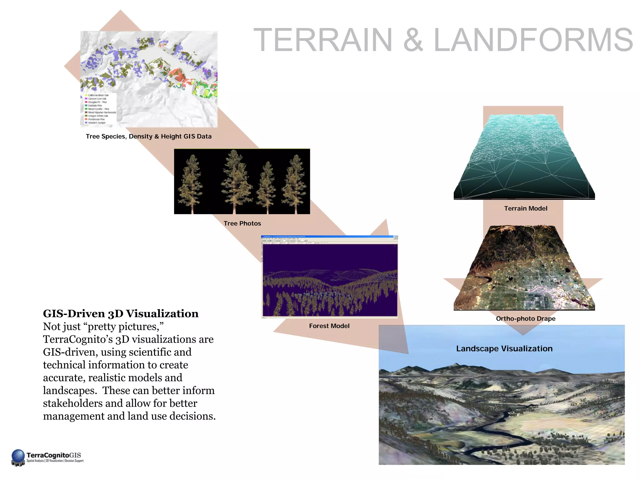 TERRAIN & LANDFORMS

        Tree Species, Density & Height GIS Data




                                                                                          Terrain Model

                                                  Tree Photos




GIS-Driven 3D Visualization                                                             Ortho-photo Drape
Not just “pretty pictures,”                                     Forest Model

TerraCognito’s 3D visualizations are
                                                                               Landscape Visualization
GIS-driven, using scientific and
technical information to create
accurate, realistic models and
landscapes. These can better inform
stakeholders and allow for better
management and land use decisions.
 