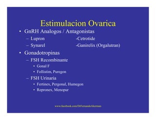 Humegon Injection Fertilización In Vitro | PDF