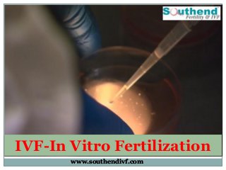 www.southendivf.com
IVF-In Vitro Fertilization
www.southendivf.com
 