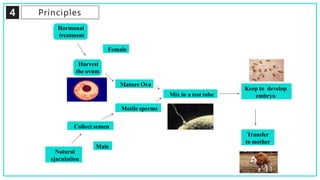 4 Principles
Hormonal
treatment
Female
Harvest
the ovum
Mix in a test tube
Natural
ejaculation
Collect semen
Mature Ova
Motile sperms
Keep to develop
embryo
Transfer
to mother
Male
 