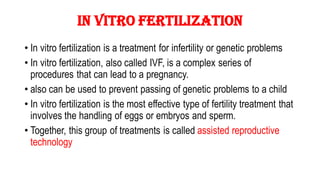 IN VITRO FERTILISATION IVF IVF.PDF INVITRO | PDF