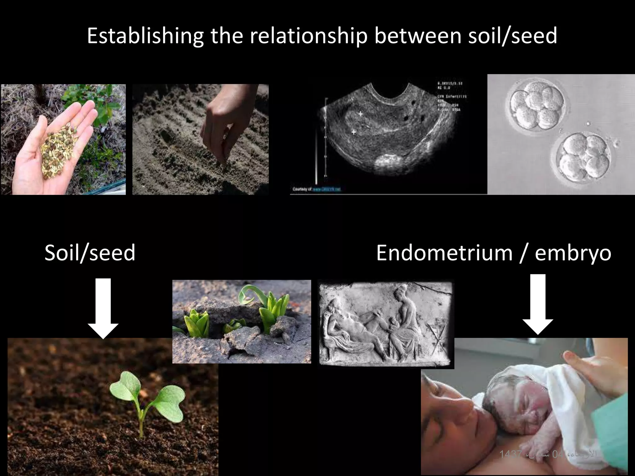 Establishing the relationship between soil/seed
Endometrium / embryoSoil/seed
،األربعاء04،شعبان1437