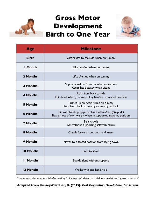 gross motor development birth to one year 1 638