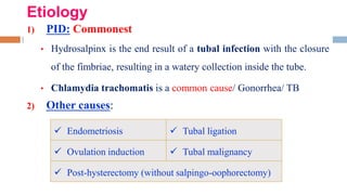 Etiology
1) PID: Commonest
• Hydrosalpinx is the end result of a tubal infection with the closure
of the fimbriae, resulting in a watery collection inside the tube.
• Chlamydia trachomatis is a common cause/ Gonorrhea/ TB
2) Other causes:
 Tubal ligation
 Endometriosis
 Tubal malignancy
 Ovulation induction
 Post-hysterectomy (without salpingo-oophorectomy)
 