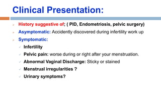 Clinical Presentation:
 History suggestive of; ( PID, Endometriosis, pelvic surgery)
 Asymptomatic: Accidently discovered during infertility work up
 Symptomatic:
 Infertility
 Pelvic pain: worse during or right after your menstruation.
 Abnormal Vaginal Discharge: Sticky or stained
 Menstrual irregularities ?
 Urinary symptoms?
 