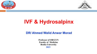 IVF & Hydrosalpinx
DR/ Ahmed Walid Anwar Morad
Professor of OB/GYN
Faculty of Medicine
Benha University
2023
 