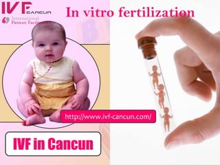 In vitro fertilization http://www.ivf-cancun.com/ IVF in Cancun 
