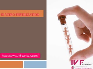 In vitro fertilization http://www.ivf-cancun.com/ 