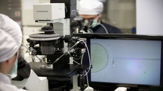 IVF Industry And Cleanroom Concepts PPTX ivf-industry-and-cleanroom-concepts-pptx