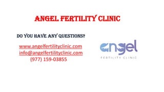 Angel Fertility Clinic
Do You Have Any Questions?
www.angelfertilityclinic.com
info@angelfertilityclinic.com
(977) 159-03855
 