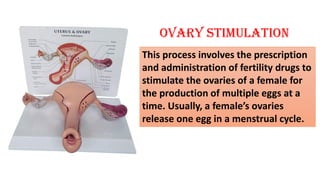 Ovary stimulation
This process involves the prescription
and administration of fertility drugs to
stimulate the ovaries of a female for
the production of multiple eggs at a
time. Usually, a female’s ovaries
release one egg in a menstrual cycle.
 