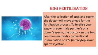 Egg fertilisation
After the collection of eggs and sperm,
the doctor will move ahead for the
fertilisation process. To fertilise your
egg with your male partner’s or a
donor’s sperm, the doctor can use two
common methods - conventional
insemination or ICSI (intracytoplasmic
sperm injection).
 