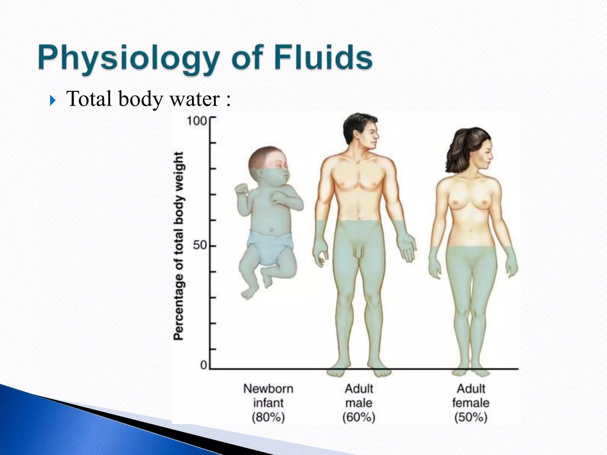  Total body water :
 