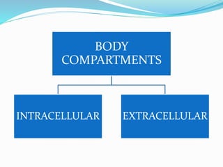 BODY
COMPARTMENTS
INTRACELLULAR EXTRACELLULAR
 