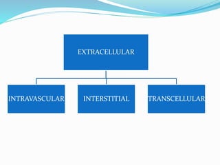 EXTRACELLULAR
INTRAVASCULAR INTERSTITIAL TRANSCELLULAR
 