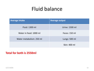 Fluid balance
Average intake Average output
Fluid: 1300 ml Urine: 1500 ml
Water in food: 1000 ml Feces: 150 ml
Water metabolism: 250 ml Lungs: 500 ml
Skin: 400 ml
12/17/2020 13
Total for both is 2550ml
 