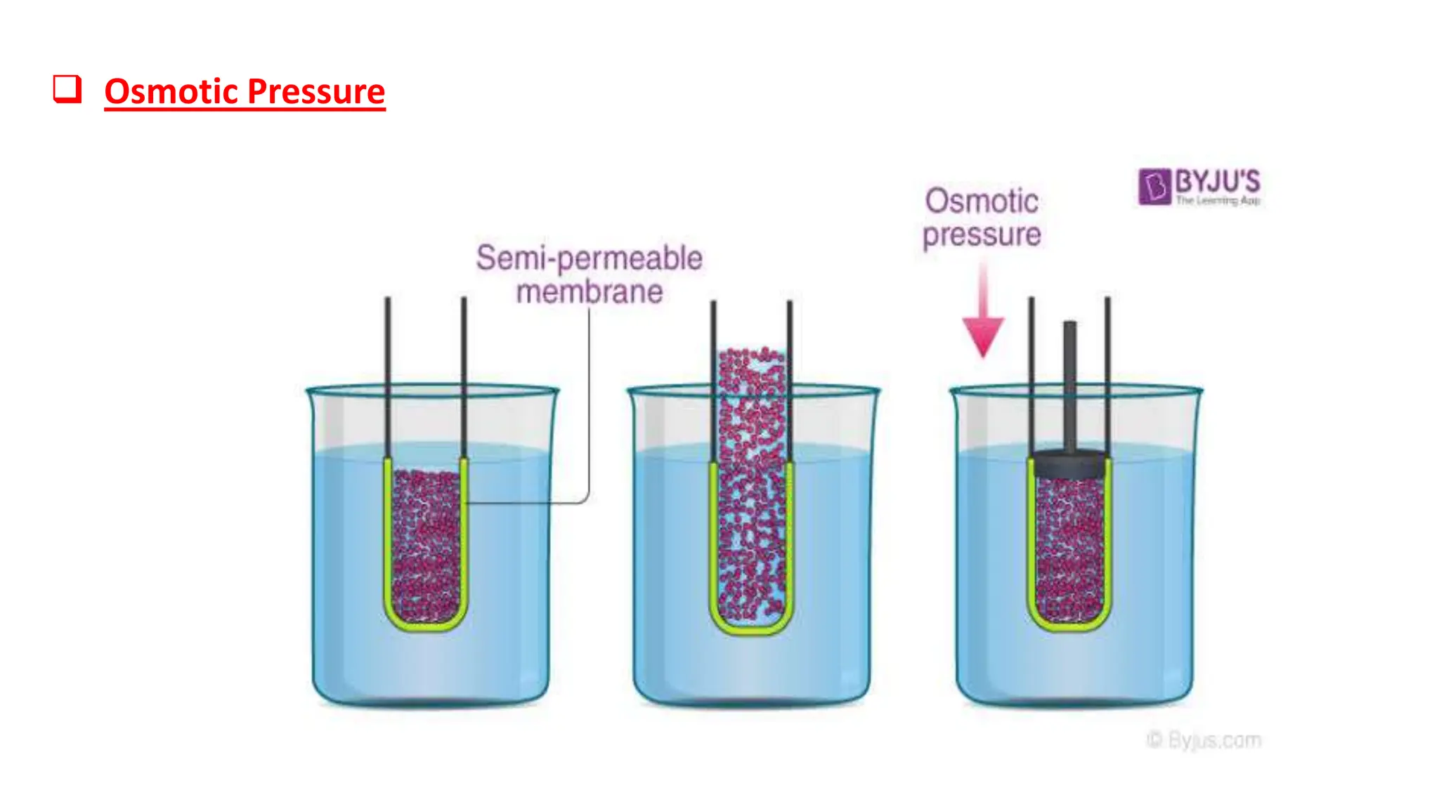  Osmotic Pressure
 