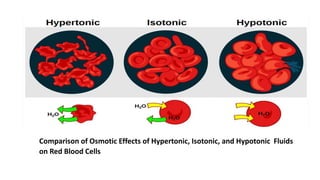 TYPES OF IV FLUIDS.pptx