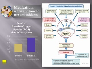 Medication:
when and how to
use antioxidants
0
0.5
1
1.5
2
2.5
Fertile Infertile
Seminal
Reactive Oxygen
Species (ROS)
(Log ROS + 1; cpm)
Pasqualotto et al., Fertil Steril 2000
 