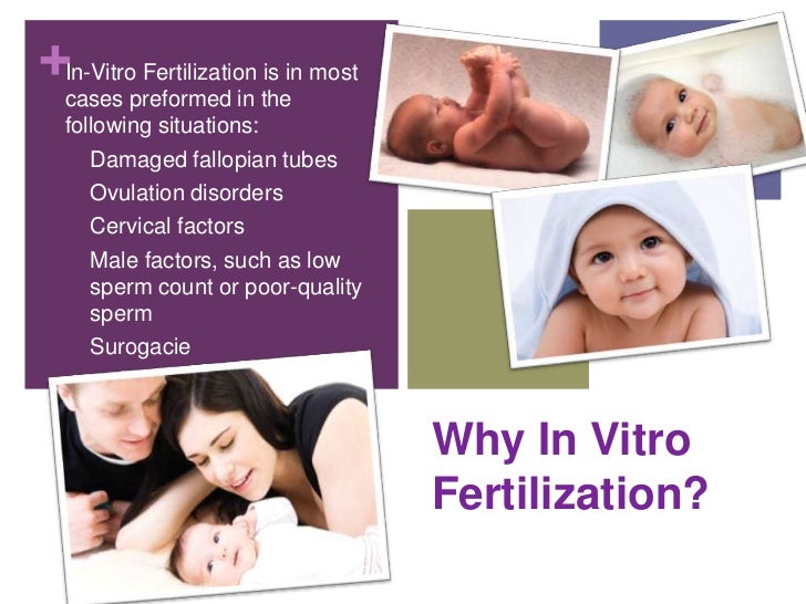 Ivf presentation