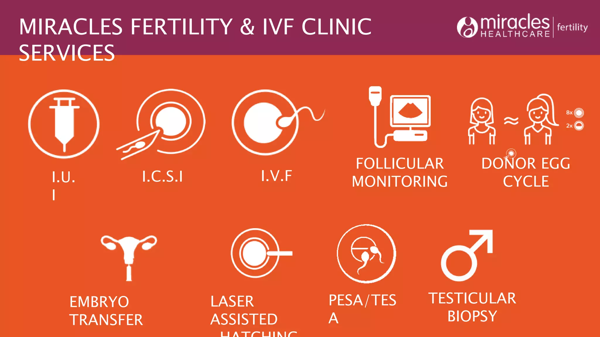 MIRACLES FERTILITY & IVF CLINIC
SERVICES
I.U.
I
I.C.S.I I.V.F
FOLLICULAR
MONITORING
DONOR EGG
CYCLE
EMBRYO
TRANSFER
LASER
ASSISTED
PESA/TES
A
TESTICULAR
BIOPSY
 