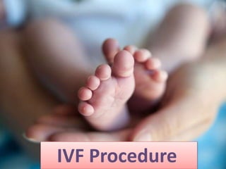 IVF Procedure
 