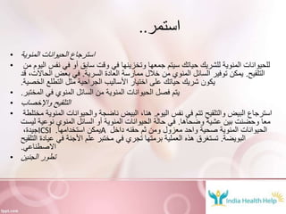 ‫استمر‬..
• ‫المنوية‬ ‫الحيوانات‬ ‫استرجاع‬
• ‫م‬ ‫اليوم‬ ‫نفس‬ ‫في‬ ‫أو‬ ‫سابق‬ ‫وقت‬ ‫في‬ ‫وتخزينها‬ ‫جمعها‬ ‫سيتم‬ ‫حياتك‬ ‫للشريك‬ ‫المنوية‬ ‫للحيوانات‬‫ن‬
‫التلقيح‬.‫السرية‬ ‫العادة‬ ‫ممارسة‬ ‫خالل‬ ‫من‬ ‫المنوي‬ ‫السائل‬ ‫توفير‬ ‫يمكن‬.‫قد‬ ،‫الحاالت‬ ‫بعض‬ ‫في‬
‫الخصية‬ ‫التطلع‬ ‫مثل‬ ‫الجراحية‬ ‫األساليب‬ ‫اختيار‬ ‫على‬ ‫حياتك‬ ‫شريك‬ ‫يكون‬.
• ‫المختبر‬ ‫في‬ ‫المنوي‬ ‫السائل‬ ‫من‬ ‫المنوية‬ ‫الحيوانات‬ ‫فصل‬ ‫يتم‬.
• ‫واإلخصاب‬ ‫التلقيح‬
• ‫اليوم‬ ‫نفس‬ ‫في‬ ‫تتم‬ ‫والتلقيح‬ ‫البيض‬ ‫استرجاع‬.‫مخت‬ ‫المنوية‬ ‫والحيوانات‬ ‫ناضجة‬ ‫البيض‬ ،‫هنا‬‫لطة‬
‫وضحاها‬ ‫عشية‬ ‫بين‬ ‫وحضنت‬ ‫معا‬.‫ليست‬ ‫نوعية‬ ‫المنوي‬ ‫السائل‬ ‫أو‬ ‫المنوية‬ ‫الحيوانات‬ ‫حالة‬ ‫في‬
،‫جيدة‬ICSI ‫استخدامها‬ ‫يمكن‬. A ‫داخل‬ ‫حقنه‬ ‫ثم‬ ‫ومن‬ ‫معزول‬ ‫واحد‬ ‫صحية‬ ‫المنوية‬ ‫الحيوانات‬
‫البويضة‬.‫التلقيح‬ ‫عيادة‬ ‫في‬ ‫األجنة‬ ‫علم‬ ‫مختبر‬ ‫في‬ ‫تجري‬ ‫برمتها‬ ‫العملية‬ ‫هذه‬ ‫تستغرق‬
‫االصطناعي‬.
• ‫الجنين‬ ‫تطور‬
 