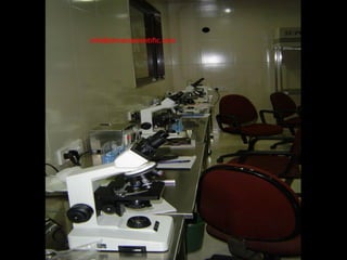 IVF Media, Vitrolife, Sperm Preparation