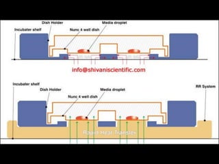 IVF Media, Vitrolife, Sperm Preparation
