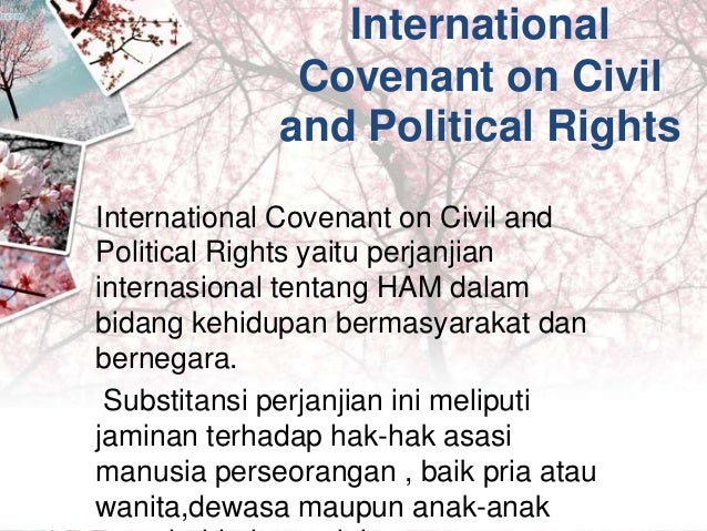 orang jaminan surat asing hak asasi Iv manusia orang jaminan surat asing hak asasi Iv manusia