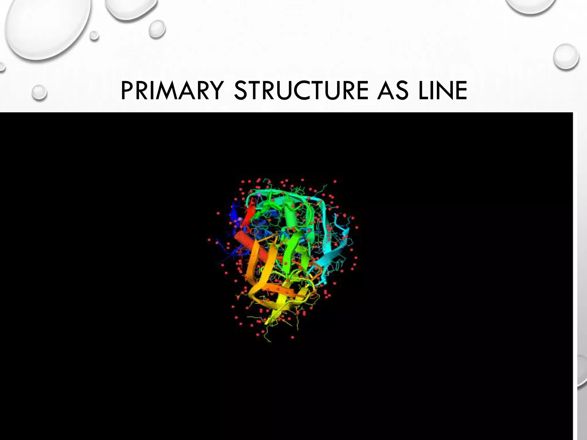 PRIMARY STRUCTURE AS LINE
4/18/2014Free template from www.brainybetty.com 21
 