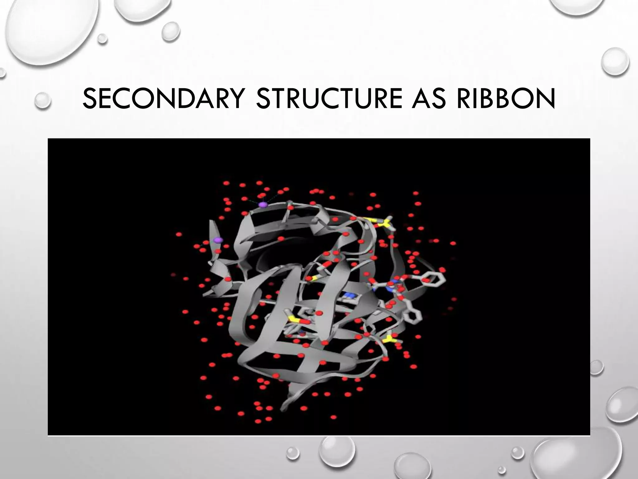 SECONDARY STRUCTURE AS RIBBON
4/18/2014Free template from www.brainybetty.com 27
 