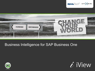Business Intelligence for SAP Business One
 