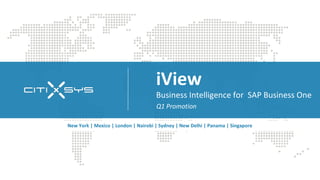 iView
                                     Business Intelligence for SAP Business One
                                     Q1 Promotion

New York | Mexico | London | Nairobi | Sydney | New Delhi | Panama | Singapore
 