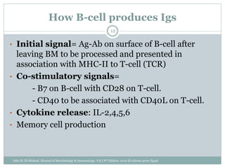How B-cell produces Igs
• Initial signal= Ag-Ab on surface of B-cell after
leaving BM to be processed and presented in
association with MHC-II to T-cell (TCR)
• Co-stimulatory signals=
- B7 on B-cell with CD28 on T-cell.
- CD40 to be associated with CD40L on T-cell.
• Cytokine release: IL-2,4,5,6
• Memory cell production
12
Abla M. El-Mishad: Manual of Microbiology & Immunology. Vol I 8th Edition. 2010 El-Ahram press Egypt
 
