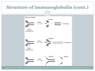 Structure of immunoglobulin (cont.)
6
Gorczynski, R., and J. Stanley. "Clinical immunology–An introductory text." Immunology, T lympho-cytes. Texas: Landes Bioscience (1999): 2-185.
 