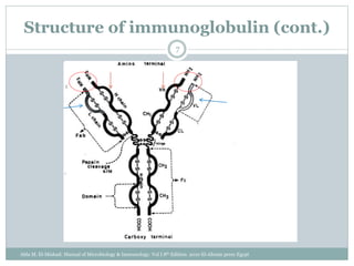 Structure of immunoglobulin (cont.)
7
Abla M. El-Mishad: Manual of Microbiology & Immunology. Vol I 8th Edition. 2010 El-Ahram press Egypt
 