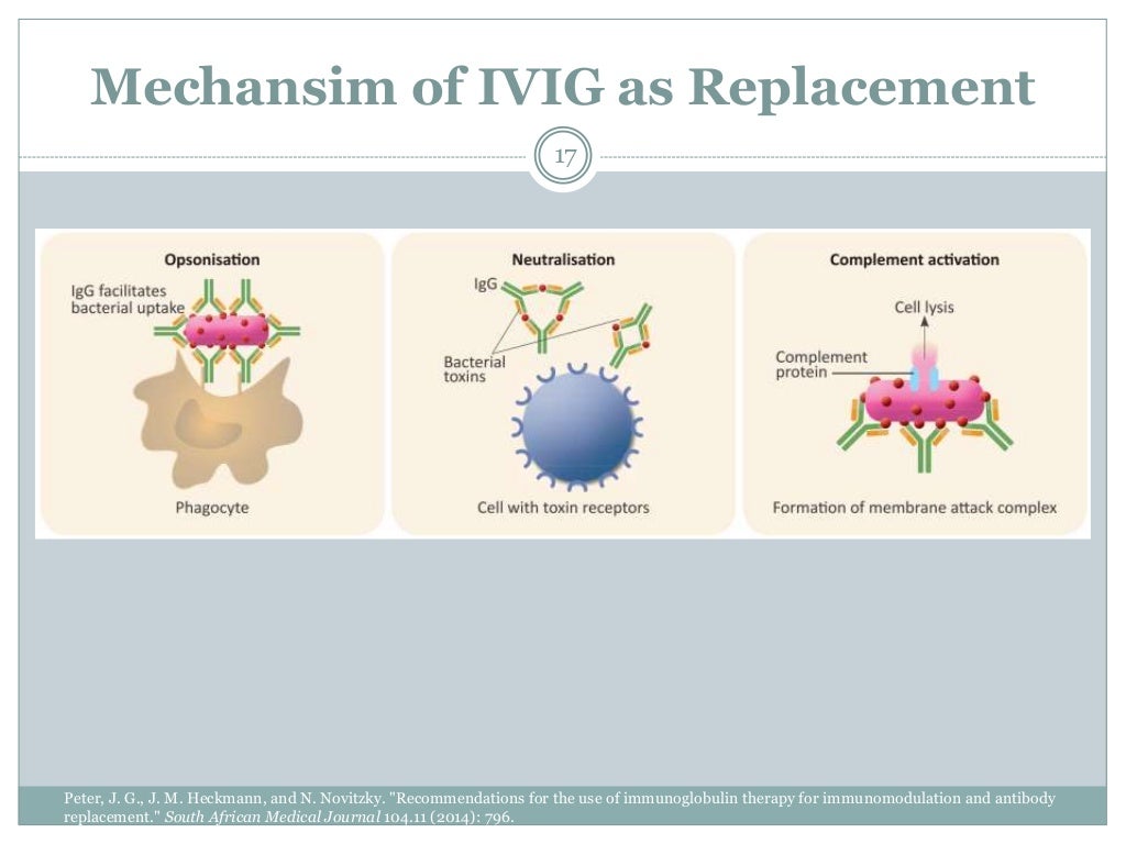 Intravenous immunoglobulin (IVIG)