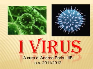 I VIRUSA cura di Andrea Paris IIIB
a.s. 2011/2012
 