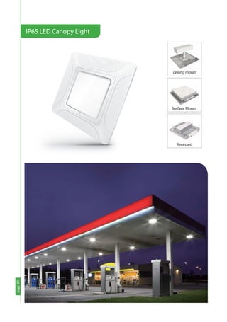 page30
IP65 LED Canopy Light
page30
Surface Mount
Recessed
ceiling mount
 