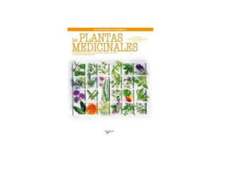 las plantas 
