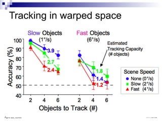 Tracking in warped space 