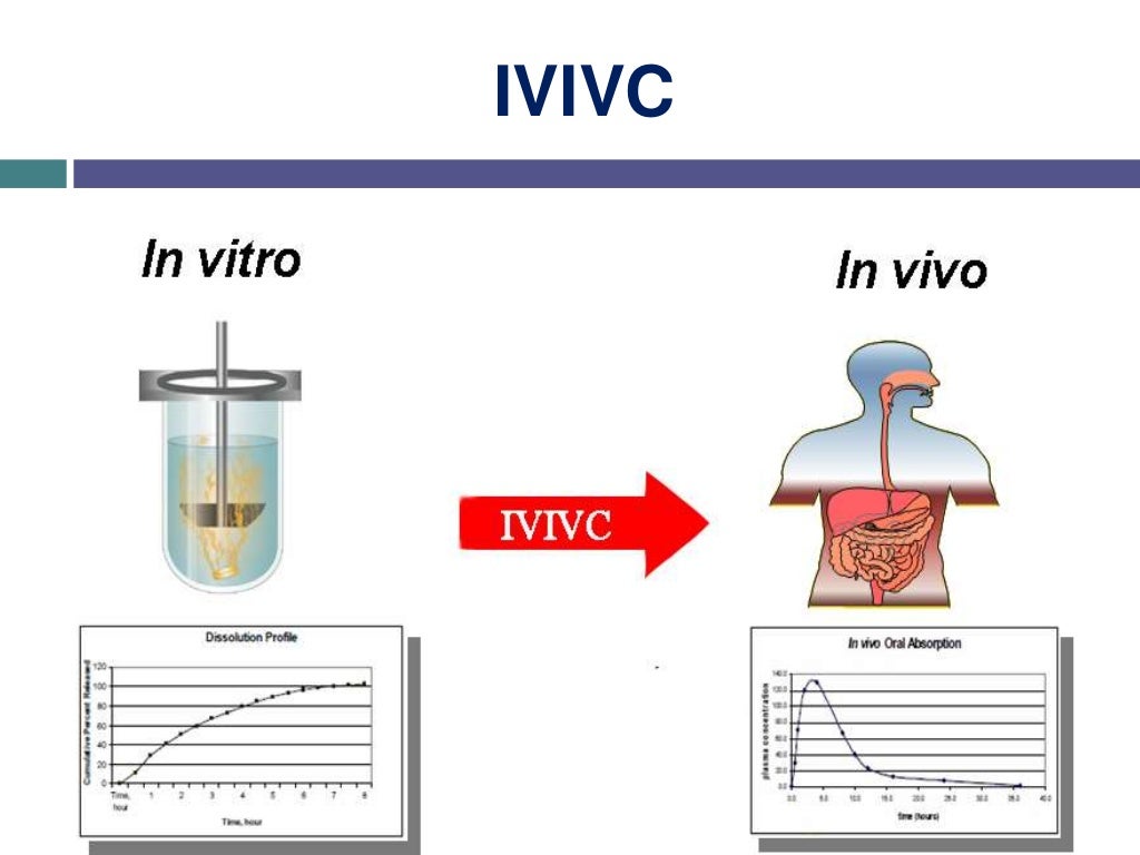 In vitro и in vivo