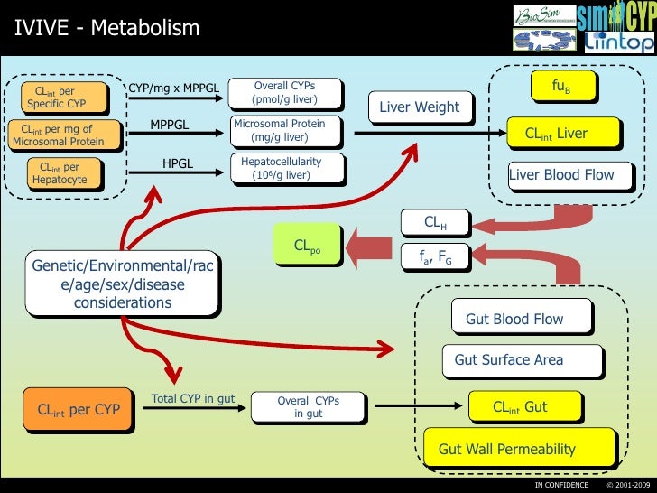 An Introduction to:In Vitro-In VivoExtrapolation (IVIVE)