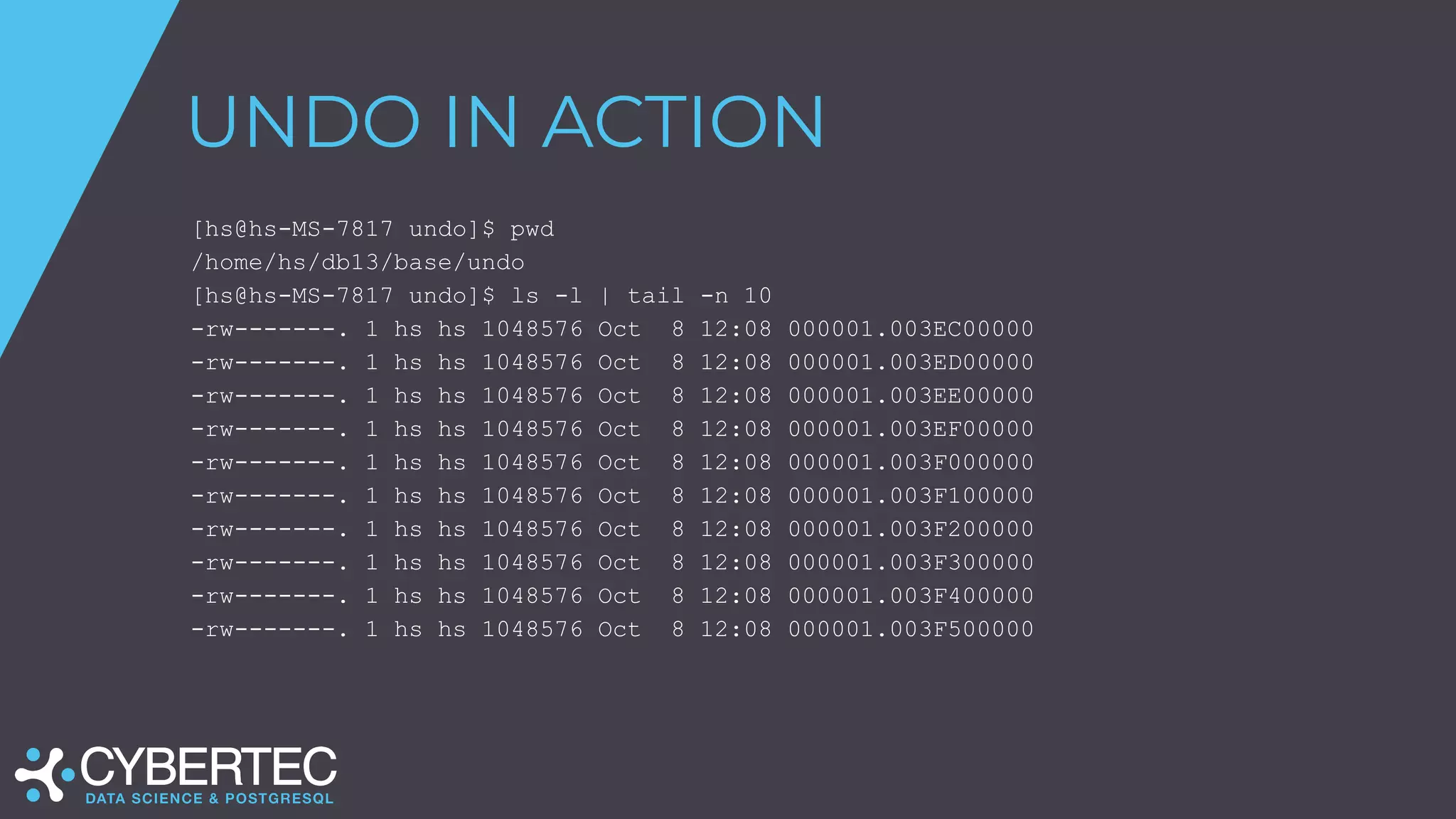 UNDO IN ACTION
[hs@hs-MS-7817 undo]$ pwd
/home/hs/db13/base/undo
[hs@hs-MS-7817 undo]$ ls -l | tail -n 10
-rw-------. 1 hs hs 1048576 Oct 8 12:08 000001.003EC00000
-rw-------. 1 hs hs 1048576 Oct 8 12:08 000001.003ED00000
-rw-------. 1 hs hs 1048576 Oct 8 12:08 000001.003EE00000
-rw-------. 1 hs hs 1048576 Oct 8 12:08 000001.003EF00000
-rw-------. 1 hs hs 1048576 Oct 8 12:08 000001.003F000000
-rw-------. 1 hs hs 1048576 Oct 8 12:08 000001.003F100000
-rw-------. 1 hs hs 1048576 Oct 8 12:08 000001.003F200000
-rw-------. 1 hs hs 1048576 Oct 8 12:08 000001.003F300000
-rw-------. 1 hs hs 1048576 Oct 8 12:08 000001.003F400000
-rw-------. 1 hs hs 1048576 Oct 8 12:08 000001.003F500000
 