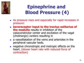 11
Epinephrine and
Blood Pressure (4)
 As pressure rises and especially for rapid increases in
pressure:
 baroreceptor i...