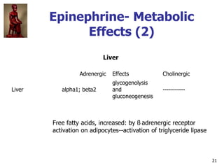 21
Epinephrine- Metabolic
Effects (2)
Liver
Adrenergic Effects Cholinergic
Liver alpha1; beta2
glycogenolysis
and
gluconeo...
