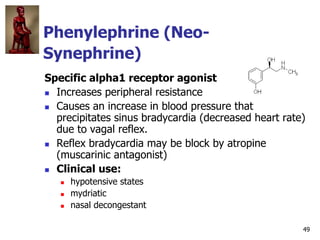 49
Phenylephrine (Neo-Synephrine)
Specific alpha1 receptor agonist
 Increases peripheral resistance
 Causes an increase ...