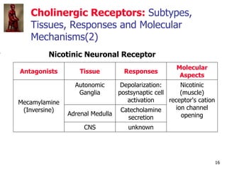 16
Cholinergic Receptors: Subtypes,
Tissues, Responses and Molecular
Mechanisms(2)
Nicotinic Neuronal Receptor
Antagonists...