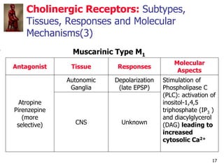 17
Cholinergic Receptors: Subtypes,
Tissues, Responses and Molecular
Mechanisms(3)
Muscarinic Type M1
Antagonist Tissue Re...